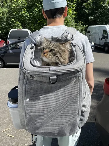 Vista 2 de Travel Cat Paquete de mochila para transportar navegador, arnés gris y correa retráctil, accesorios para gatos para viajes al aire libre, caminar