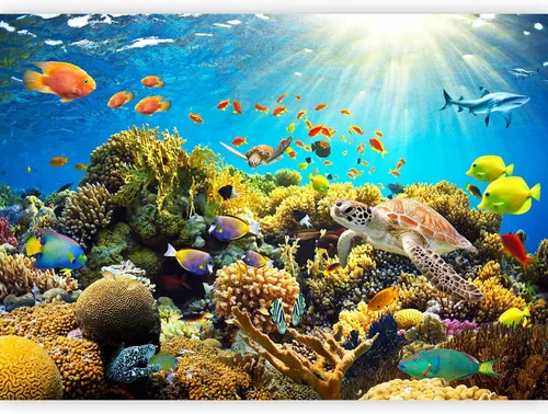 Vista 13 de artgeist Mural de pared premium mundo submarino, 98 x 69 pulgadas, papel tapiz no tejido XXL, decoración de pared de vellón, impresión fotográfica