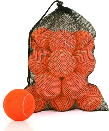 Vista 19 de Tennis Balls, High Bounce for Practice and Dog Play