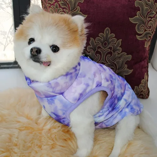 Vista 2 de Ropa para mascotas, abrigo de invierno para perro con cierre de cremallera y gancho para la correa, chaleco para cachorro, chaqueta disfraz cálido
