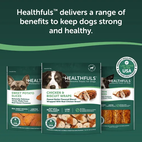 Vista 9 de HEALTHFULS Galletas para perros con sabor a pollo y mantequilla de maní, 16 onzas, (paquete de 2)