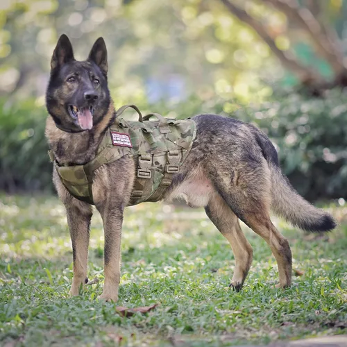 Vista 5 de PETAC GEAR Arnés Táctico para Perros K9 Chaleco de Entrenamiento para Perros Ajustable Acolchado para Perros de Servicio Policial de Trabajo Negro