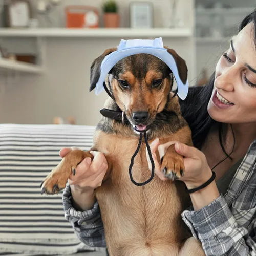 Vista 7 de Gorra de béisbol ajustable para perro, con agujeros para las orejas, gorra de béisbol para exteriores, para cachorro, perro, sombrilla, cómodo