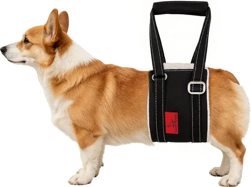 Vista 8 de Arnés de elevación para perros – Arnés ajustable para patas traseras con soporte suave para perros mayores, lesionados y discapacitados después