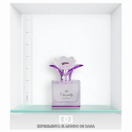 Vista 4 de Chantilly Eau De Vie By Dana Eau De Parfum Spray 1.7 oz para mujer