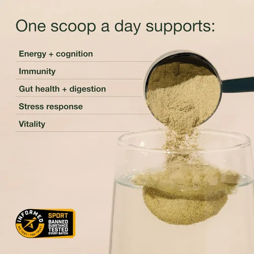 Vista 4 de Nuzest Greens Powder Good Green Vitality - Vitaminas, minerales y superalimentos - Suplemento multivitamínico vegano 0.35 oz (paquete de 5)
