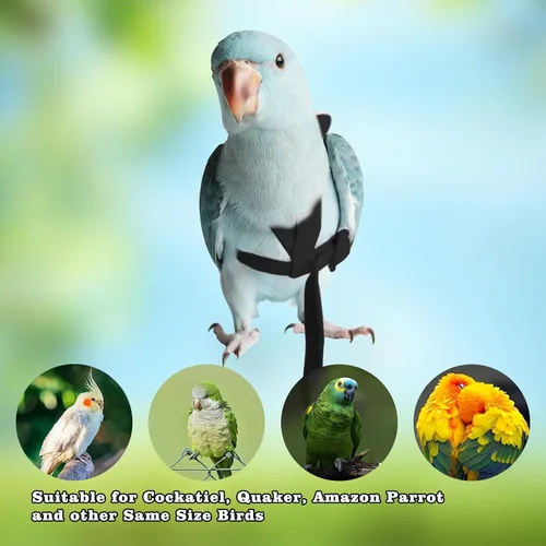 Vista 4 de Correas y arneses ajustables para pájaros, arnés de nailon para pájaros con bonito ala para loros, accesorios para pájaros para mascotas, correa