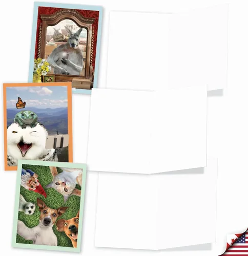 Vista 3 de The Best Card Company - Tarjetas de animales en blanco en caja, 4 x 5.12 pulgadas, mascotas surtidas, zoológico, tarjetas de vida silvestre