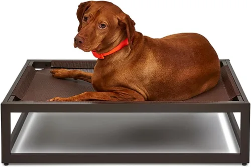 Vista 11 de FUZI Luxury Up - Cama elevada para perros para cachorros, cama elevada para mascotas para interiores y exteriores, a prueba de mordeduras