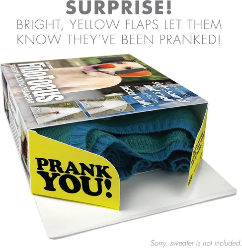 Vista 3 de Caja de Regalo Prank-O, Fido Focus, Envuelve Tu Regalo Real en una Divertida Caja de Regalo de Broma Auténtica, Caja de Regalo Novedosa