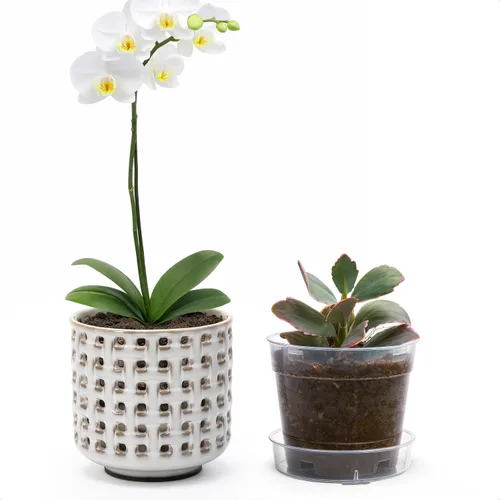 Vista 14 de D'vine Dev Orchid Pot, Clear Pot & Saucer, Smoked White, 6.7 in, 28-A-Y-1 Blanco ahumado