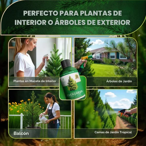 Vista 3 de Leaves & Soul Evergreen Tree Fertilizer, 6-4-6 Liquid Evergreen Food 8 oz Árbol de hoja perenne