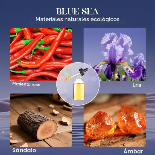 Vista 6 de Juego de difusor de junco, 6.1 oz (6.1 fl oz), difusor perfumado de mar azul con varillas de larga duración para el hogar, habitación, oficina