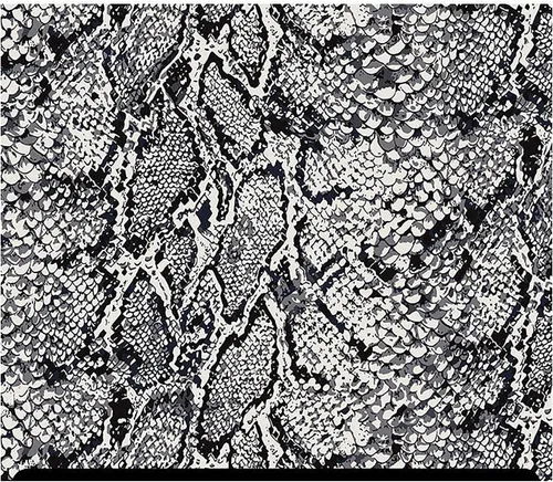 Vista 33 de HTV con estampado de animales (19.66 x 36 pulgadas) - Leopardo arcoíris