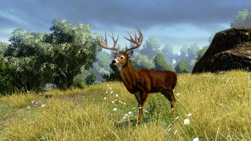 Vista 2 de Cabela's Outdoor Adventure '10 - Playstation 3