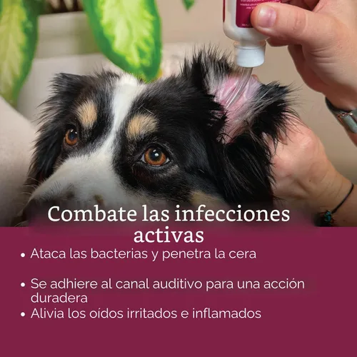 Vista 6 de Vetality Gotas óticas medicadas para tratamiento de infección de oído de perro, 2 onzas líquidas