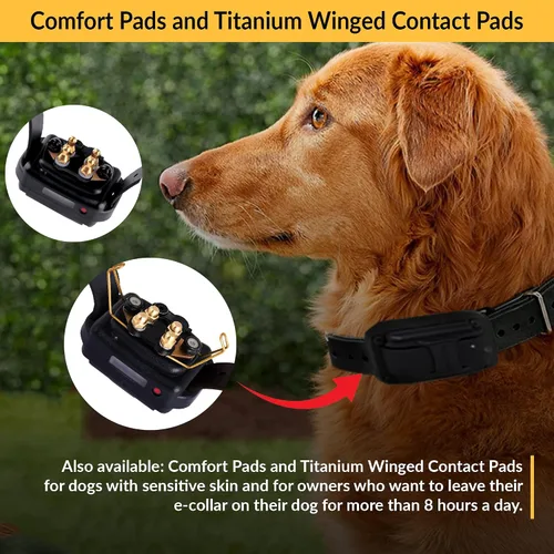 Vista 4 de E-Collar Educator 5/8" Puntos de contacto de titanio