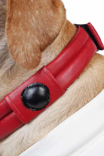 Vista 4 de The Space Dog Cosplay Pet Dog Puppy Cat Collar Trajes para Halloween