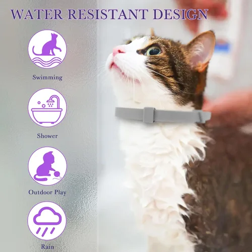 Vista 4 de Paquete de 4 collares calmantes para gatos, collar ajustable calmante para gatos, collar calmante para gatos, antiagresión para gatos, alivio