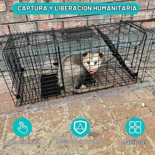 Vista 2 de Trampa de jaula para animales vivos, trampa de ardillas humanas de 24 "x 7