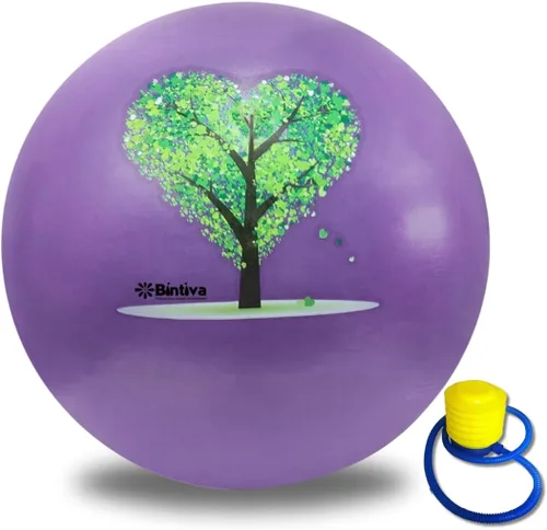 Vista 13 de bintiva Pelota de ejercicio