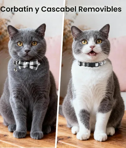 Vista 2 de Collar Joytale con corbatín y campana, lindos patrones de cuadros, 1 o 2 unidades de collares de seguridad para gato, Negro