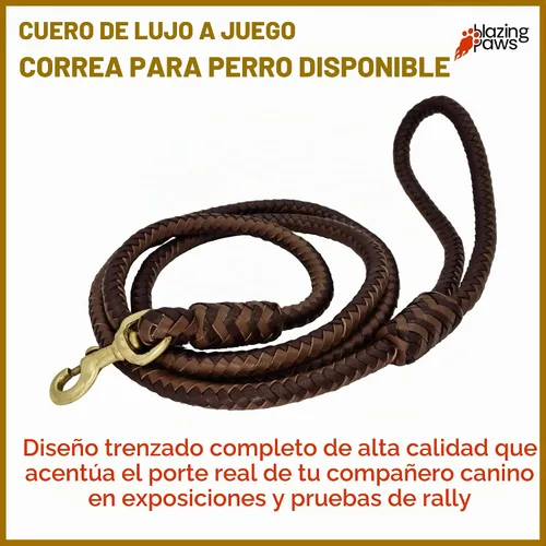 Vista 6 de Blazing Paws Darlington - Collar de perro de cuero de lujo de 2 pulgadas de ancho para perros grandes, hecho a mano de gamuza acolchado de cristal