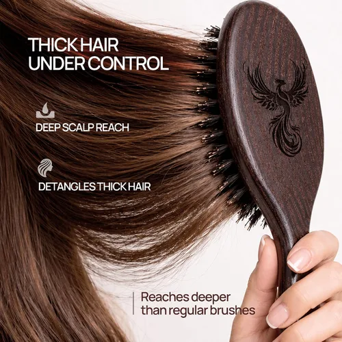 Vista 2 de Calcuta Max - Cepillo de cerdas de jabalí extra rígido 100% puro, perfecto para cabello grueso, mango de madera de fresno térmico, cepillo