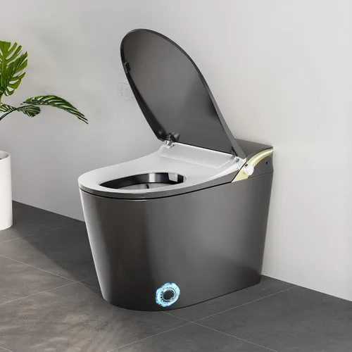 Vista 2 de Inodoro inteligente WinZo, inodoro sin tanque Dynamic Clean con secador, inodoro de una pieza de altura de comodidad ADA con bidé de agua caliente