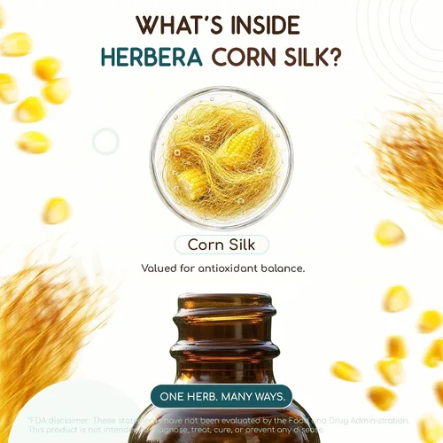 Vista 4 de Corn Silk B60 USDA - Tintura orgánica Extracto sin alcohol, gotas de hierbas de alta potencia Seda de maíz orgánica certificada (Zea Mays) Seda