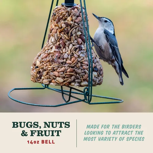Vista 2 de Mr. Bird Bugs, Nuts & Fruit Campana de semillas de aves silvestres, paquete de 2, 12.5 onzas