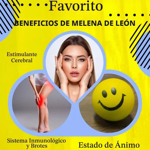 Vista 2 de BioImmune Cápsulas orgánicas de suplemento de melena de leones 120 cápsulas con Patent Litropane™ Immune System Booster Suplemento de hongos