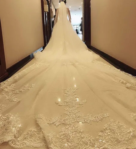Vista 2 de Fenghuavip - Velos de boda de 5 metros con encaje floral para novia con peine