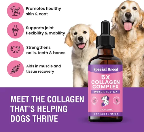 Vista 2 de Colágeno Premium para Perros - Soporte Líquido para Articulaciones, Piel, Pelaje, Hueso, Sistema Inmunológico y CADERAS - Suplemento de Colágeno