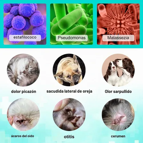 Vista 9 de Tratamiento de ácaros para gatos y perros, fórmula natural de aloe vera