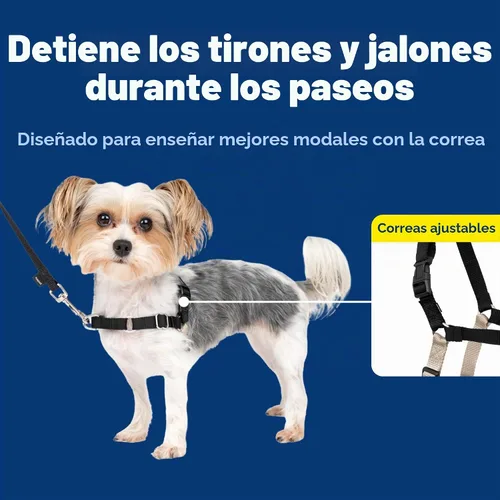 Vista 4 de Arnés de paseo fácil de PetSafe, Negro/Plateado