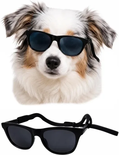 Vista 4 de G006 - Lentes de sol para disfraz de perro mascota de los años 80, para sesión de fotos, razas medianas de 20 a 40 libras
