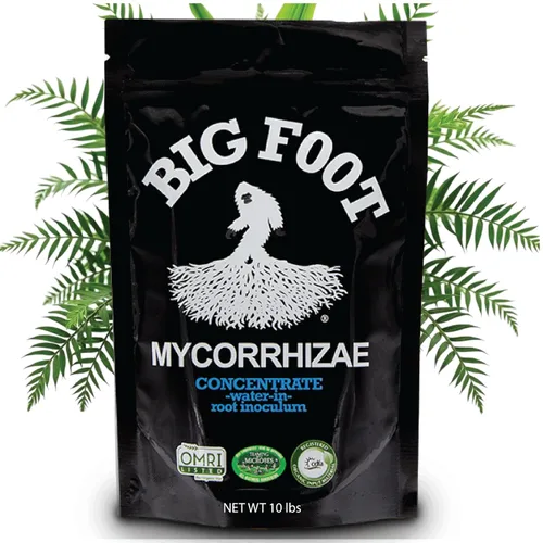 Vista 12 de Big Foot Mycorrhizae para Plantas, Plantas en Maceta y Jardines - Concentrado que se Disuelve Completamente en Agua, Fertilizante Orgánico Todo