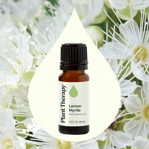 Vista 3 de Plant Therapy Aceite esencial de mirto de limón 0.3 fl oz (1/3 oz) 100% puro, sin diluir, aromaterapia para apoyo inmunológico, desodorizante