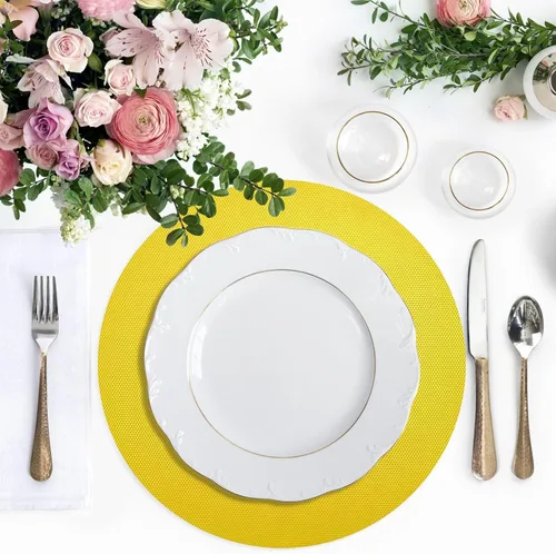 Vista 43 de Aruba Flag Round Table Placemats 15 Inch, Seasonal Table Mats Modern Place Mats for Dining, Kitchen, Parties, Camping