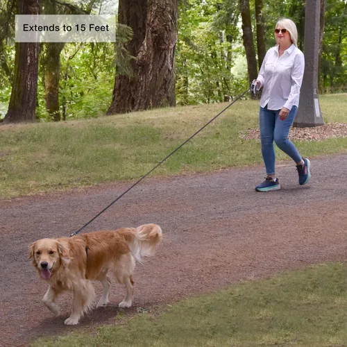 Vista 4 de Hounds & Pups - Correa retráctil para perro, 15 pies de longitud, luz LED para paseos nocturnos (morado)