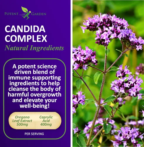 Vista 2 de Potent Garden Candida Complex - Mezcla de orégano y ácido caprílico, complejo de equilibrio de flora intestinal, salud intestinal y apoyo