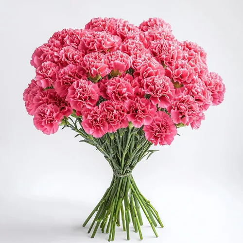 Vista 18 de GlobalRose 100 flores de clavel rosa – Claveles de flores frescas de origen responsable – Ramo fresco seleccionado a mano para graduación