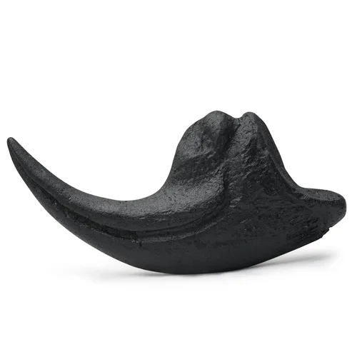 Vista 2 de Dientes fosilizados y garras de varios dinosaurios prehistóricos, dientes de tiburón megalodón y réplicas de alta fidelidad (garra de Allosaurus)