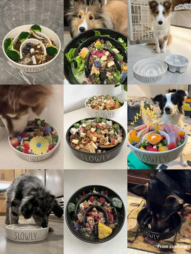 Vista 2 de Cuencos de cerámica para alimentación lenta para perros de raza pequeña, tazón de 0.6 tazas para comida de perro para comedores rápidos, tazón