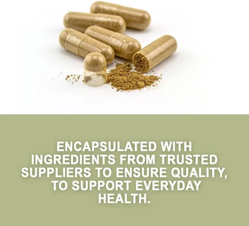 Vista 3 de Evergreen Herbs Wereke Cápsulas – 90 cápsulas vegetales, 1350 mg por porción, suplemento de hierbas mexicanas Wereque para bienestar diario y apoyo