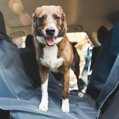 Vista 4 de Ruffwear, Dirtbag - Funda de asiento de automóvil para perro, 300D, resistente al agua, a prueba de arañazos, antideslizante, duradera, lavable a