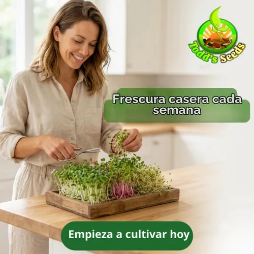 Vista 9 de Todd's Seeds Mezcla de semillas para germinar; Brócoli, rábano, alfalfa, sin OMG, libres de químicos, alta germinación (1/4 libra)