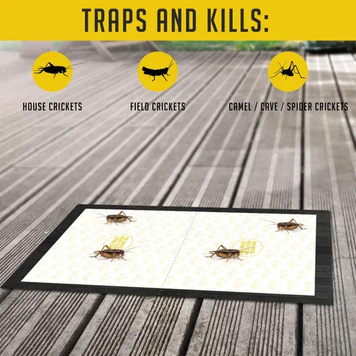 Vista 5 de Trampas para grillos de interior (12 trampas) Trampas adhesivas extra grandes para insectos - Trampas adhesivas extra pegajosas no tóxicas
