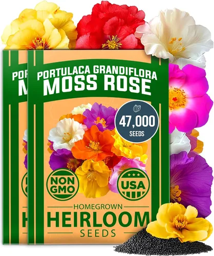 Vista 26 de HOME GROWN - Semillas de zinnia rosadas – 600 Zinnias Luminosa de 0.02 oz, semillas de flores anuales fáciles de cultivar para plantar al aire libre
